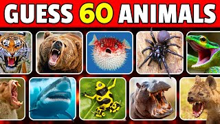 Guess 60 Dangerous Animals in 3 seconds 🐯🐍🦈 | EASY to IMPOSSIBLE