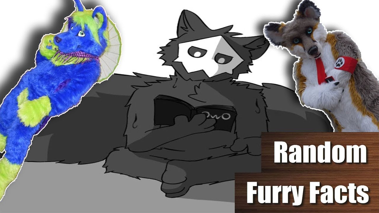 pics Puro Fursuit foxler vs artworktee puro as a new furry fursona rff 5 feat tarki