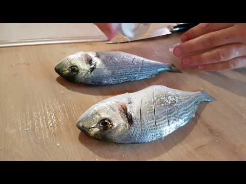 ♡ 😋 Fish,
