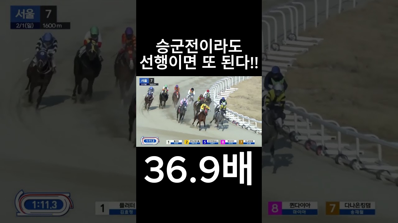 승군전 선행이면 또 된다~  #경마  #경마예상  #경마방송  #경마예상방송  #서울경마  #금요경마  #토요경마  #일요경마 #경마장