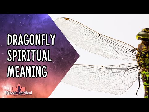 Dragonfly Spiritual Meaning