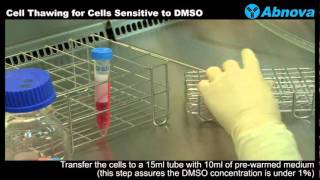 Cell Thawing for Cells Sensitive to DMSO