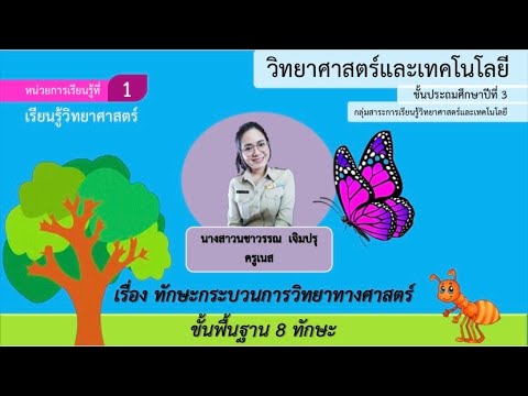 ep.2📍วิทยาศาสตร์ ป.3 หน่วยที่ 1 เรื่อง ทักษะกระบวนการทางวิทยาศาสตร์ขั้นพื้นฐาน (By Kru Nest)