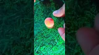 ক্লে দিয়ে ললিপপ বানানো#craft #art #diy #clay #minecraft #reels #youtubeshorts #foryou #viralvideo