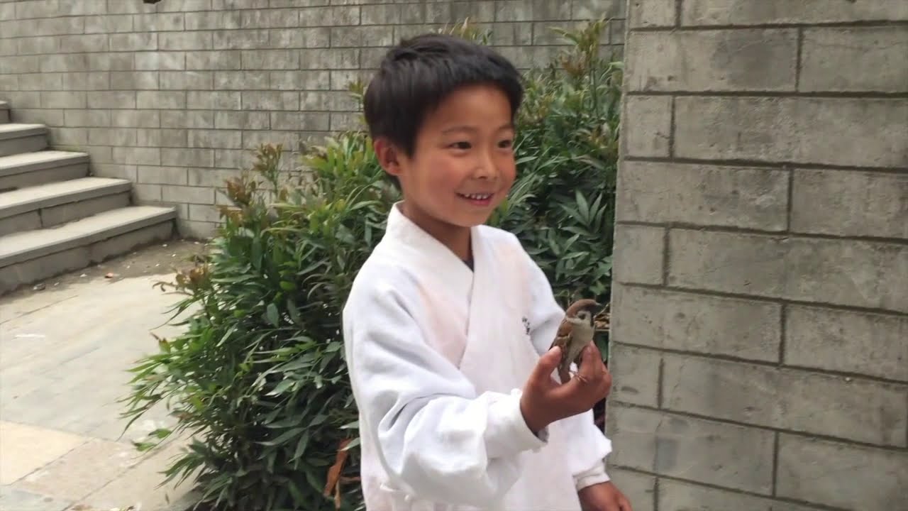 My Road to Wudang - VLOG 8  - Serious Stretching at Yuan Xiu Gang's School