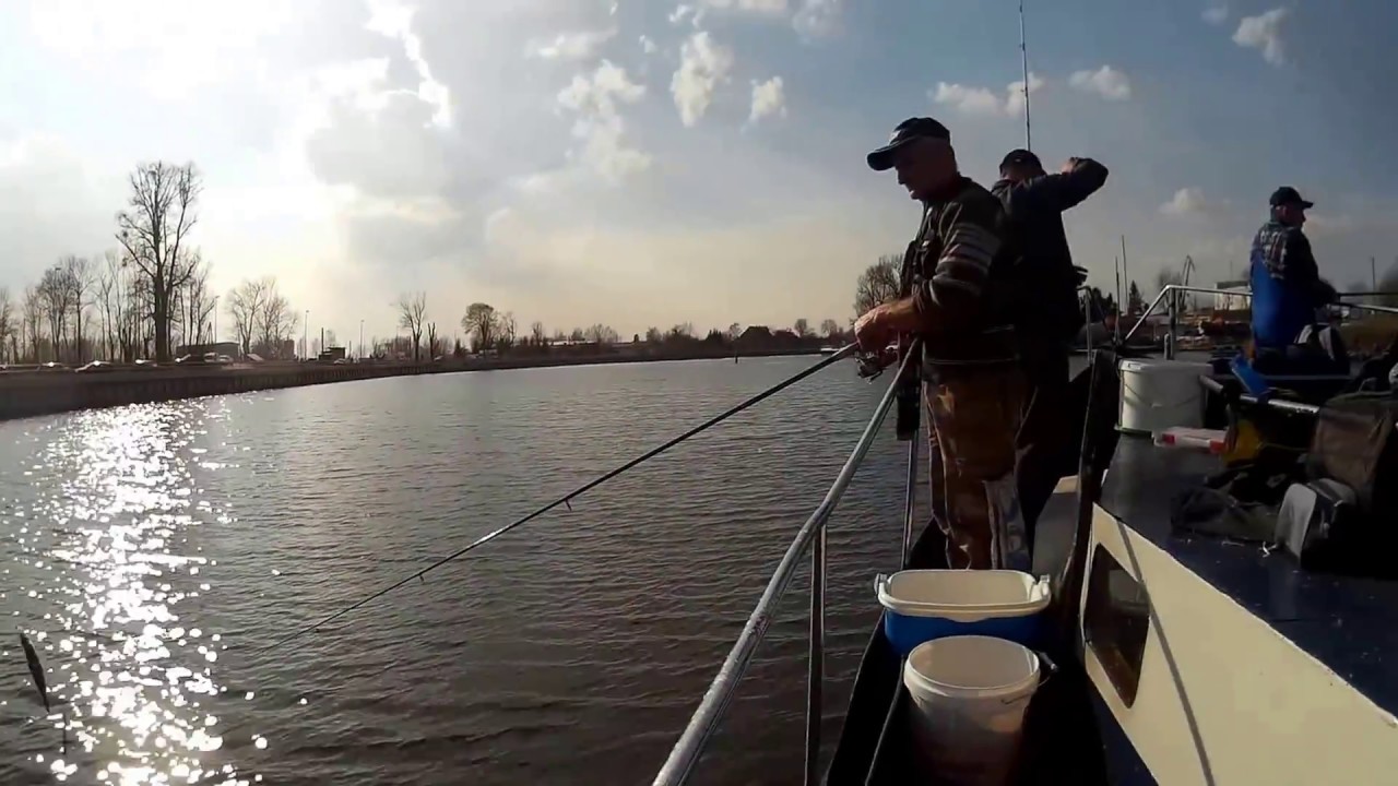 Wyprawa na śledzia .Duża presja wędkarska