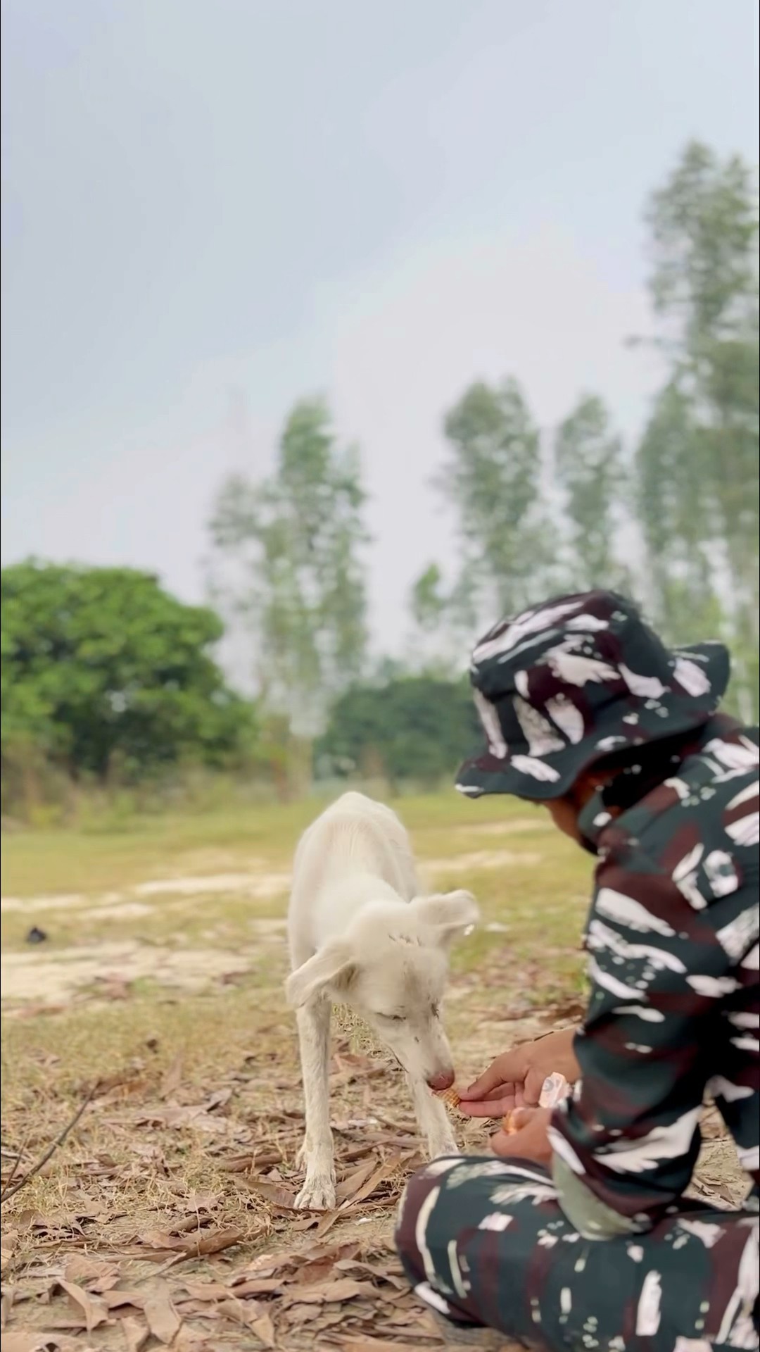 मोती को क्या हुआ ??? #foryou #army #armyemotional #emotinal #sad #shortfeed #dog #motivation