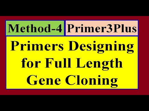 Primer designing for