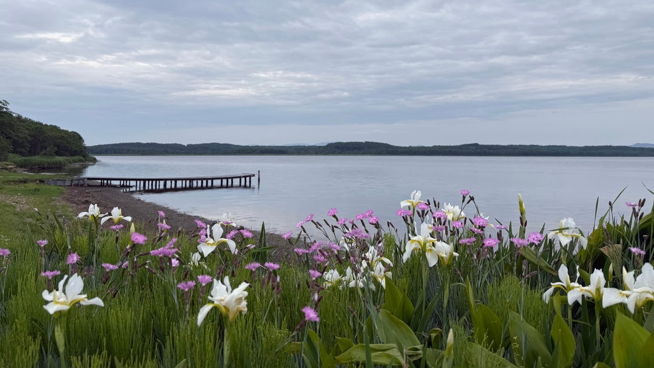 【2025年北海道 車中泊の旅 Part.11】宗谷岬～エサヌカ線～道の駅なかがわ