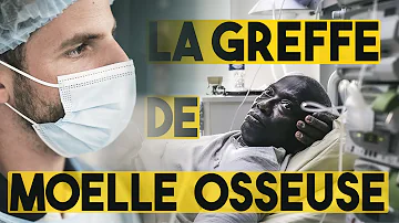 Comment récupérer de la moelle osseuse