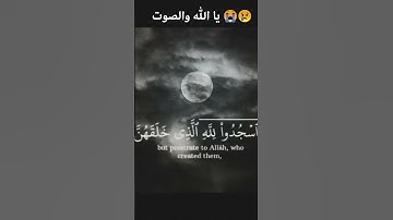#القرآن_الكريم #تلاوة_خاشعة #اكسبلور