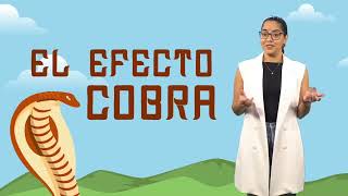 El efecto cobra.