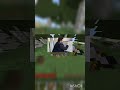 MINECRAFT HARDCORE PADRÃO!!! #1 - #shorts #mcpe #hardcore #minecraft #minecrafthardcore #viral