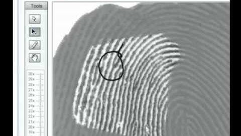 Probability Software Fingerprint Comparison 2010 : Practical Excercises Lab