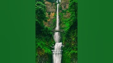 سورة النحل بصوت جميل القارئ مسعد عبد الرحمان.لايك ومتابعة وأكتب شيئا في التعليقات تؤجر عليه.💟💟