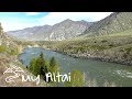 Горный Алтай. Река Катунь в начале мая