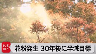 花粉発生 30年後に半減目標（2023年5月30日）