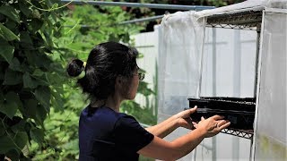 The last time sowing summer vegetables, prepare seasons transition in Florida