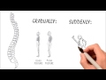 The Beginners Guide to Chiropractic