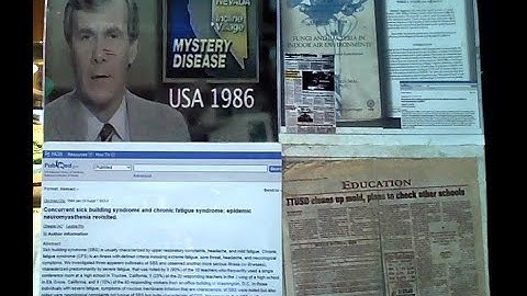 Chronic Trichothecene Exposure May Be Indistinguishable from CFS