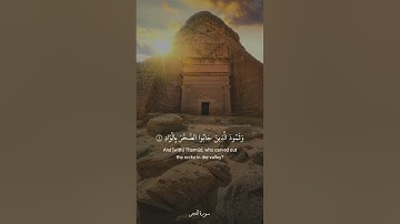 ألم تر كيف فعل ربك بعاد الآية ٦ - ١٤ / سورة الفجر / القارئ احمد احمد الشافعي