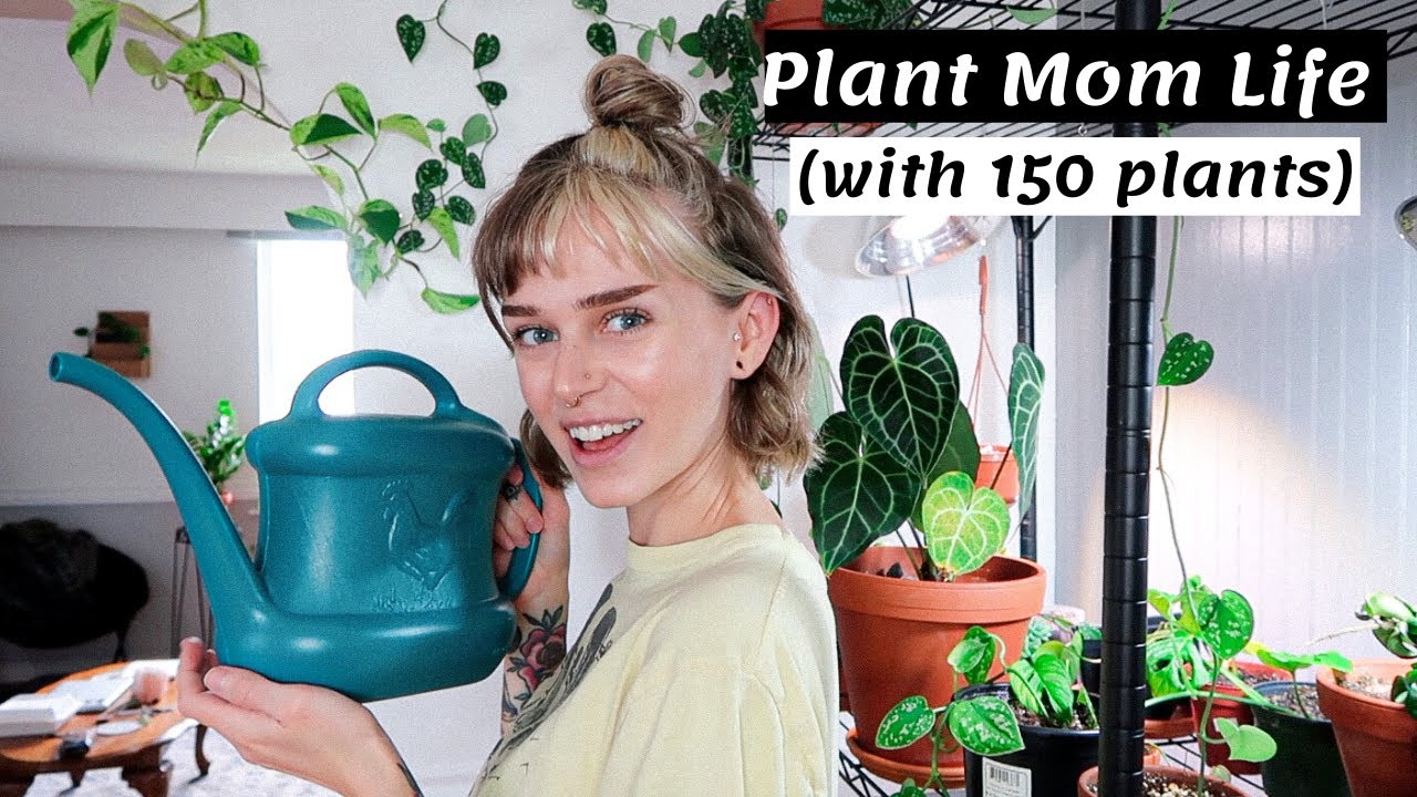 A Day In The Life Of A Plant Mom (with 150+ plants)