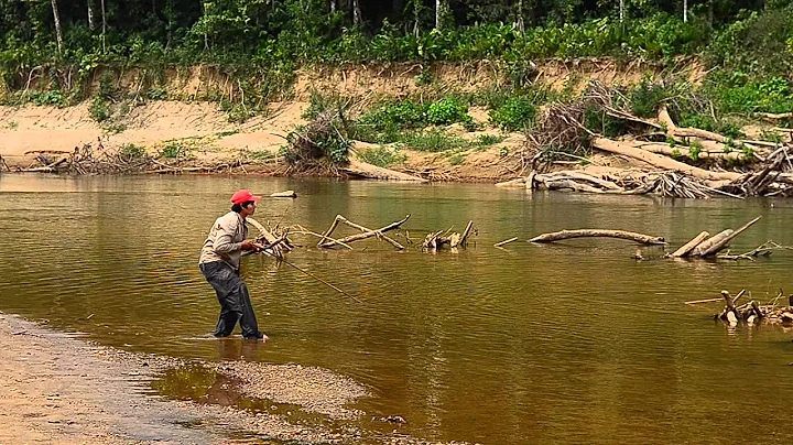 The Fish Stalker