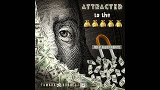 Tamara Bubble - Attracted To The Money [Official Audio]