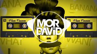 🍌 NETTA - Nana Banana - MOR DAVID Remix