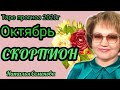 Скорпион таро прогноз  на октябрь 2020г.