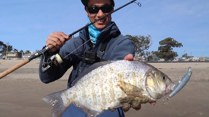 NEW LURE for SURF FISHING on the California Coast (Success!) 