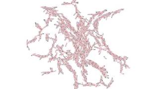 Ellipsoid particle aggretion as a model for vascular network formation (Supplementary Video 2)
