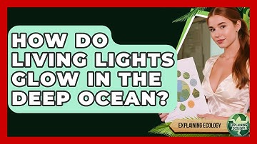 How Do Living Lights Glow In The Deep Ocean? - Explaining Ecology