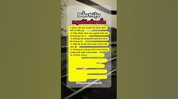 Người Sâu Sắc Thường Thế Nào?