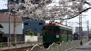 阪堺電気軌道モ161型 貸切列車