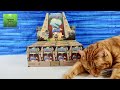 Dimoo jurassic world pop mart blind box figure unboxing review  collectorcorner