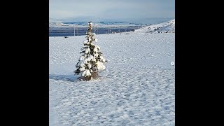 Snowy Mountains In Montana & A Quick Hello ❄