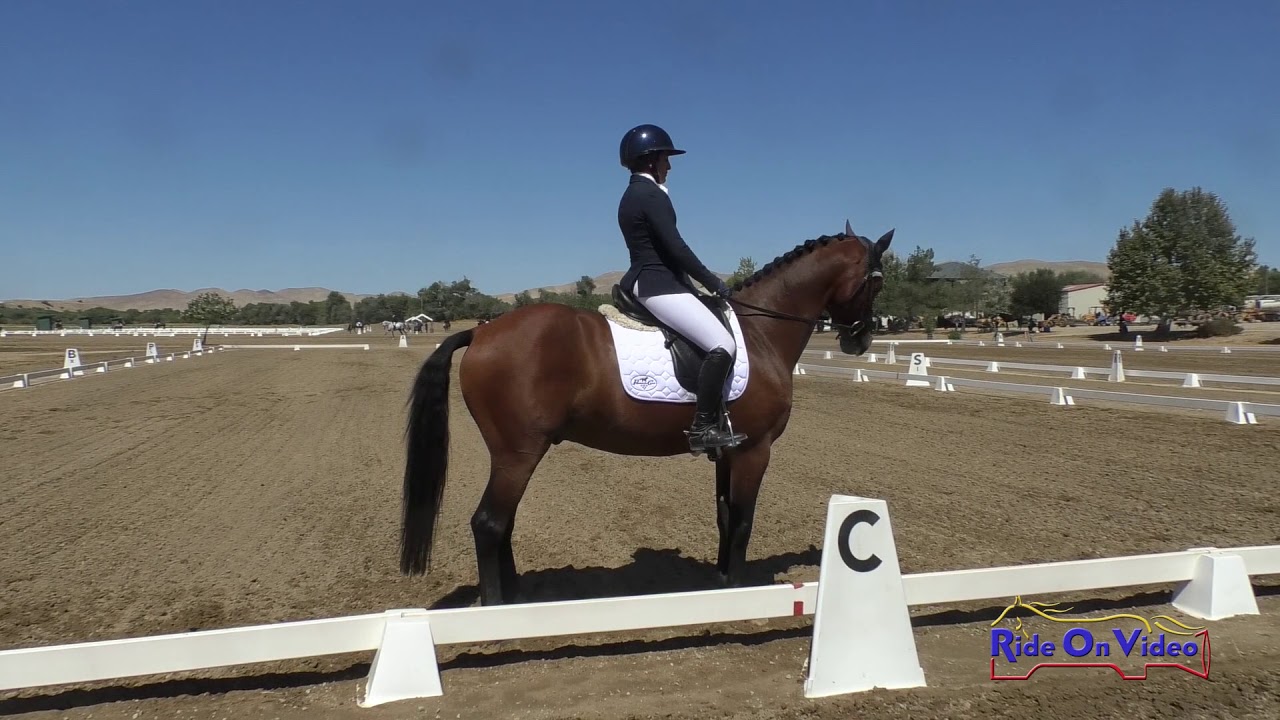 horseshoe bend 074D Lauren Billys on Can Be Sweet Open Preliminary Dressage Twin Rivers Ranch Sept. 2019