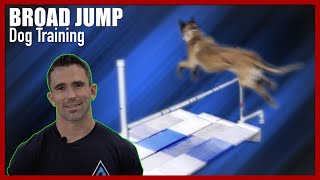 Broad Jump Training for Competitive Dog Obedience