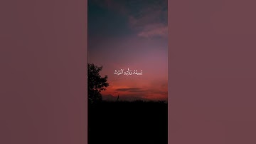 #القارئ : محسن الدوسري #quran