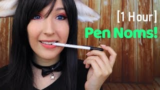 ASMR - PEN NOMS ~ Plastic Pen Chewing & Mouth Sounds ~