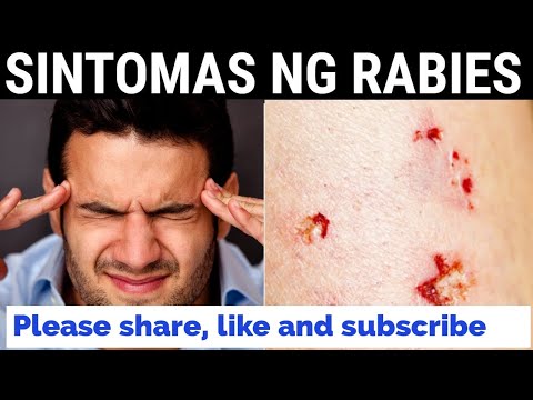 Video: Sa Pulitika Ng 'mga Tag Ng Rabies' At Paglilisensya Ng Alagang Hayop (Bahagi 1: Bakit Nabigo Kami)