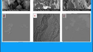 B25CEE39A387E557C7840AA89A19EE#1