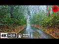 Relaxing rain walk in tokyos largest shrine umbrella  nature sounds for sleep and study