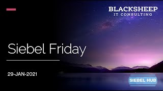 Siebel Friday 29-JAN-2021