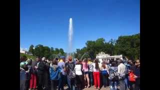 Welcome to Peterhof: The Fountains &amp; The Lower Park