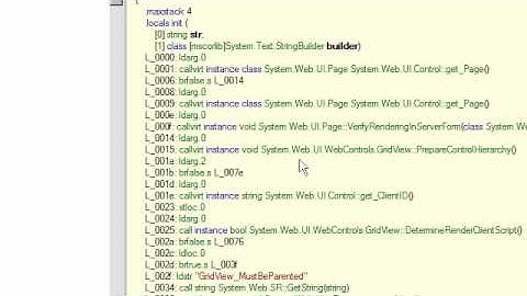 .NET Reflection Basics and Reflector - Part 1 of 2