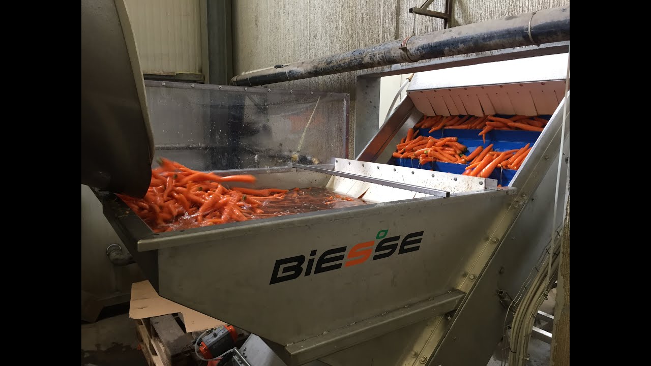 VIDEO IMPIANTO CAROTE CHIOGGIA