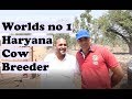 Worlds no 1 haryana cow breeder  jitu revolutionary farmer  youtube channel 