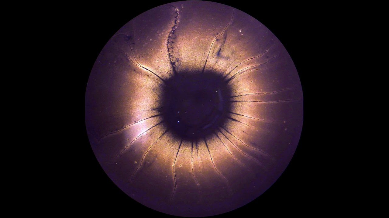 Undefined Object - Dragonfly - YouTube